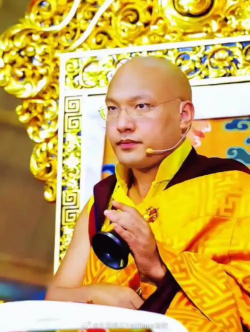 大宝法王#噶玛巴##噶玛噶