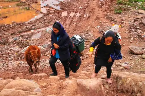 洛克之旅(2020年10月7日至11月7日)第二部分四川大凉山(10月13日至19