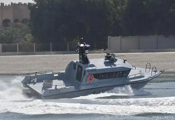 自主研发的"野牛"气垫登陆艇亮相,引爆国际关注!