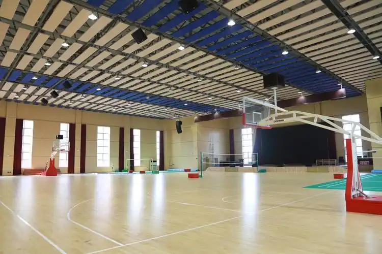 室内体育馆3.jpg