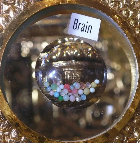 释迦牟尼佛舍利子