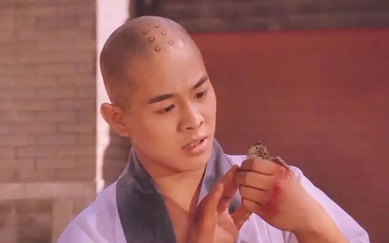 南北少林:李连杰吓跑了小鸟的妈妈,自己打算照顾小鸟