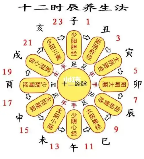 十二经脉流注顺应时节才是养生