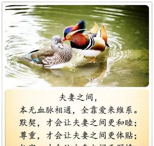 35岁的女人被抛弃后才真正懂得怎么样活着才不算白来一回