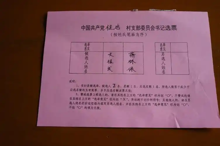 6,支书选票.差额选举,二选一.