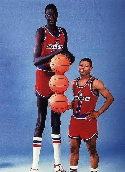 曾经nba史上最高的球员之一——马努特·波尔