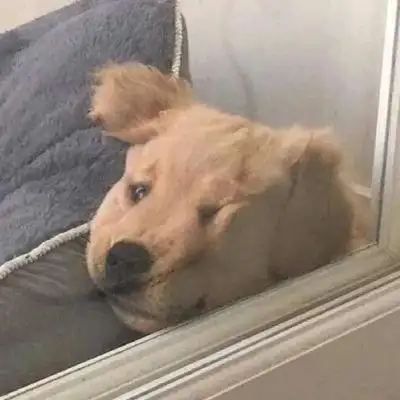 qq头像沙雕头像男 - 搜狗图片搜索