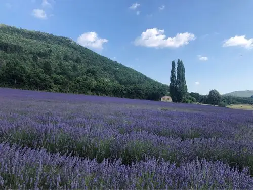 法国西班牙之旅