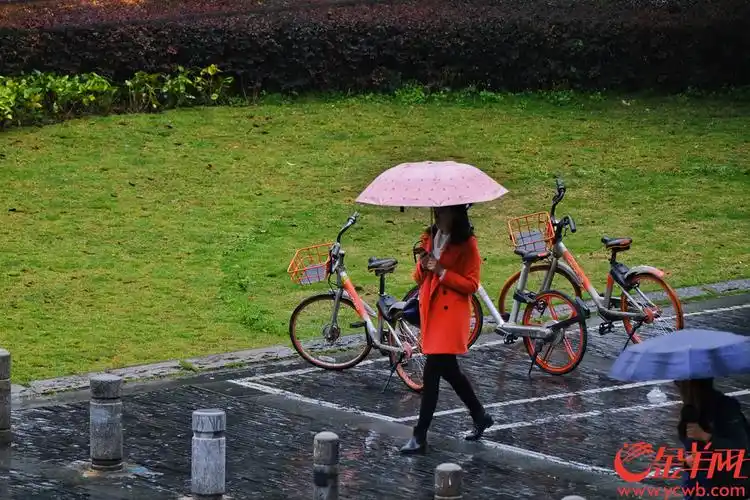 沉暗的天空时不时就来几下"雨花纷扬",行人打伞雨中行,五彩缤纷的雨伞