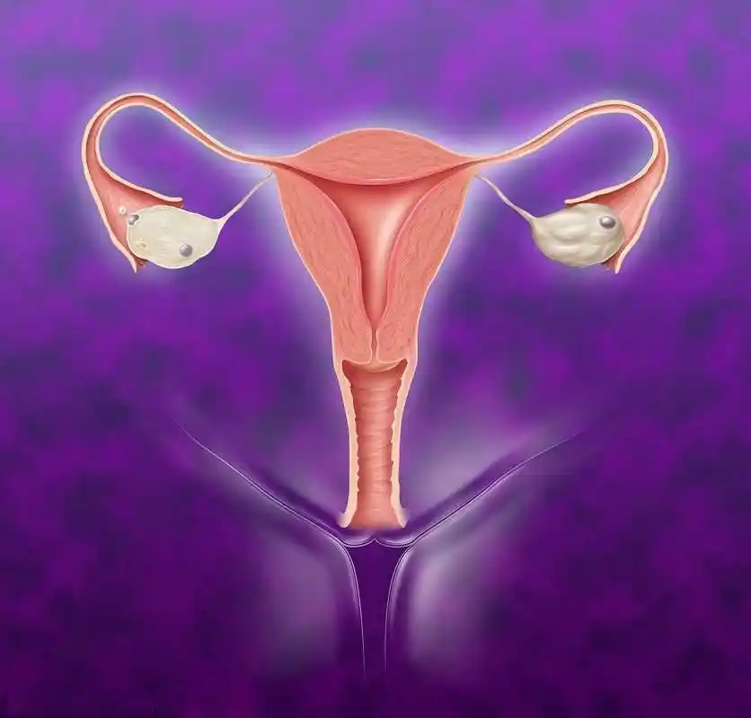 子宫摘除的女人,身体会有6个"变化"!了解不一样的"她"