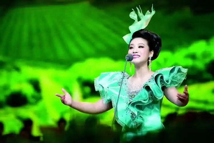 著名军旅青年歌唱家文欣独唱音乐会将在成都举行