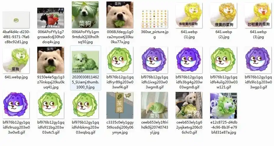 菜狗表情包不同颜色gif图片大全