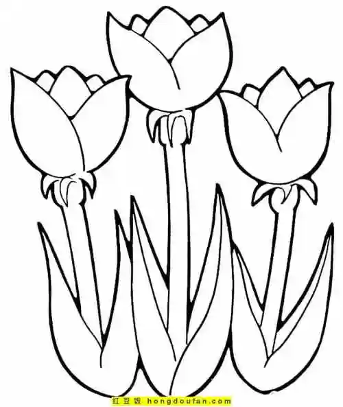12张tulip郁金香花束卡通花朵简笔画!