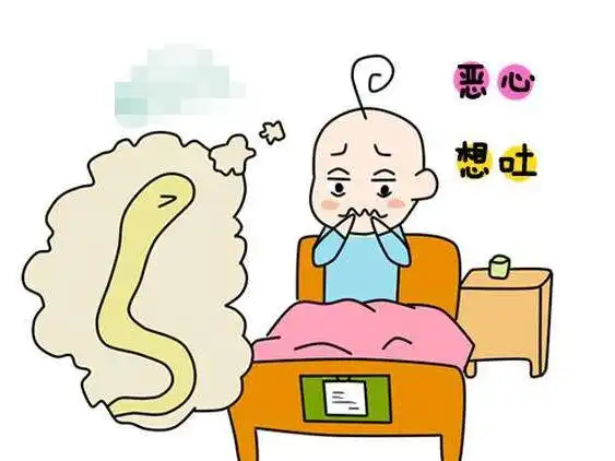 宝宝肚子有蛔虫,吃了驱虫药,却不见蛔虫排出,是药没起作用么