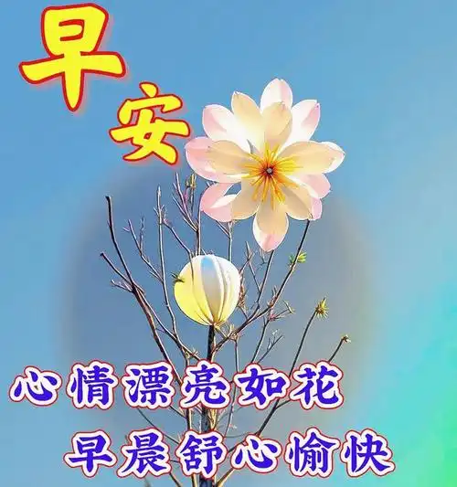 早上好祝福问候图片