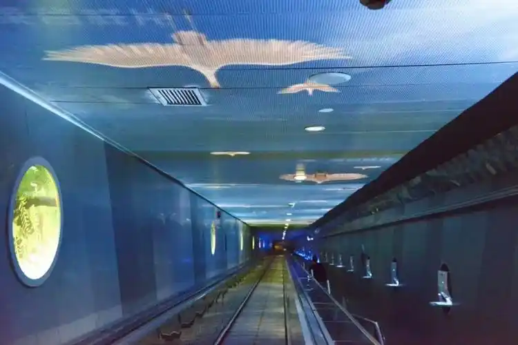 央视新闻白鹤梁旅游文化节长江水下看千年题刻走进白鹤梁水下博物馆