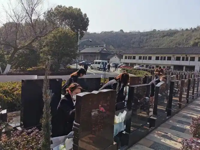 代祭扫服务指导辖区内各殡葬服务设施机构从今天开始滨湖区民政局市