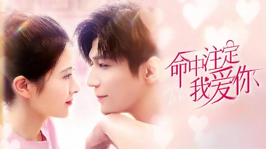 命中注定我爱你定档8月18日超甜cp先同居后恋爱
