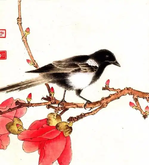 工笔画教程:工笔喜鹊的画法