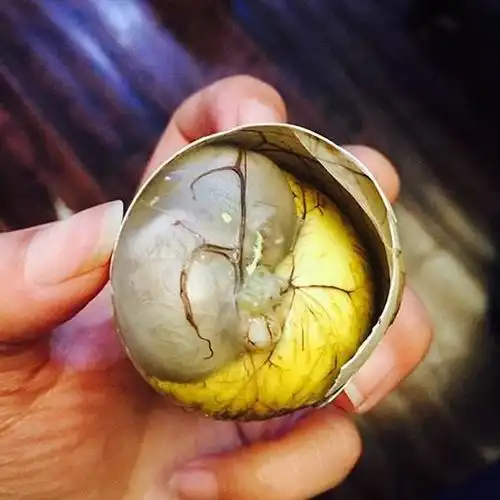 毛蛋活珠子13天毛鸡蛋鸡胚蛋新鲜熟原味活珠子20枚