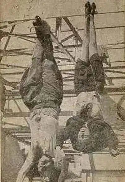 墨索里尼_意大利_战争