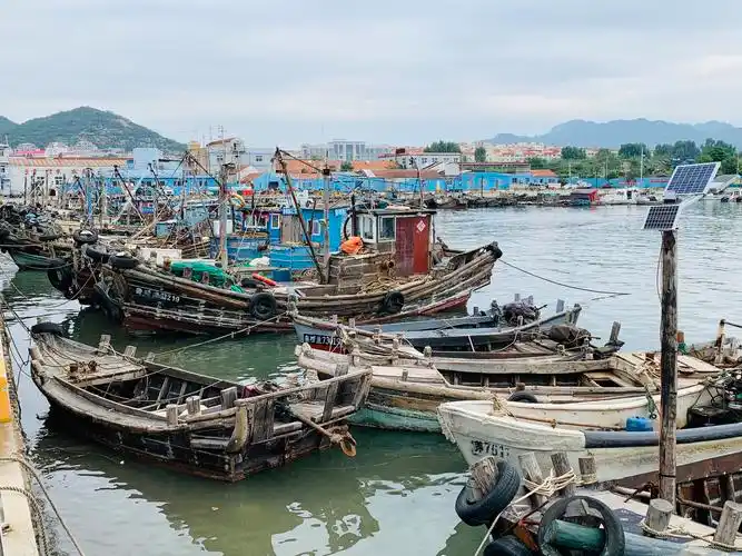 脏乱差变规范化崂山区沙子口街道南姜渔港码头综合整治大变身