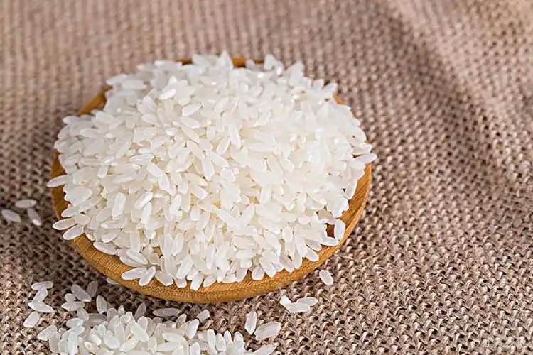 大米图片_大米高清图片_全景视觉