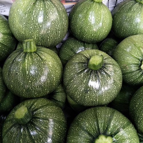 小南瓜四川新鲜蔬菜绿皮南瓜现摘迷你青皮4斤南瓜