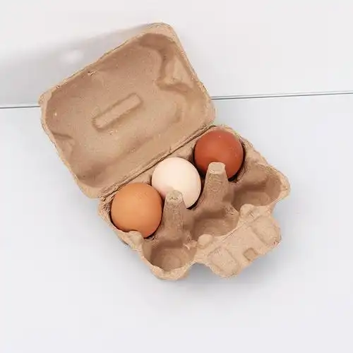 节能 环保纸托 纸浆模塑 防潮 防震 缓冲纸托 六枚装鸡蛋托