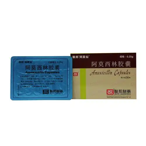 联邦阿莫仙 阿莫西林胶囊 250mgx24s