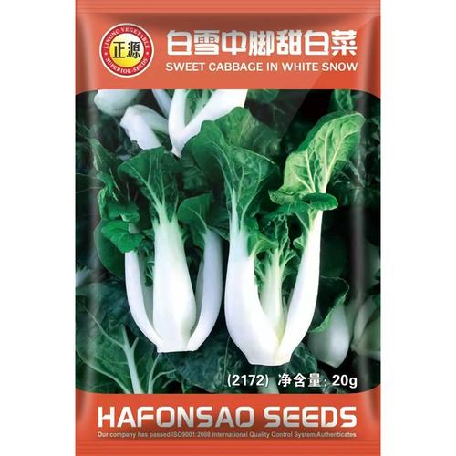 正源白雪中脚甜奶白菜种子种籽小青菜秋季籽种蔬菜孑菜籽矮脚白