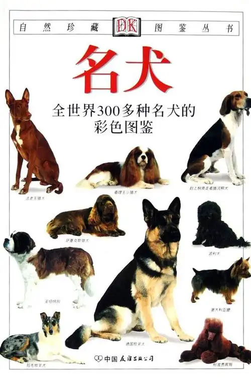 p>萨路基猎犬是一种大型猎犬,英文名称:saluki;体型分类:大型; 犬种