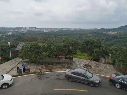 其它 登红荔阁,赏中华红 写美篇