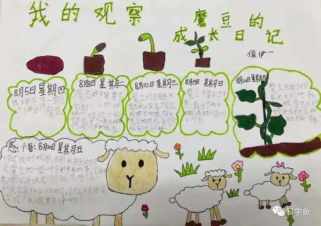 的手抄报我爱读书手抄报读书小报手抄报模板小学生魔豆生长日记手抄报
