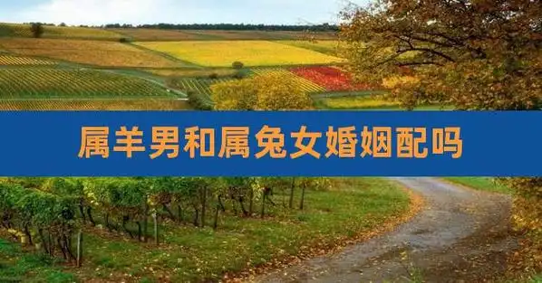 属羊男和属兔女婚姻配吗,属羊属兔的婚姻状况