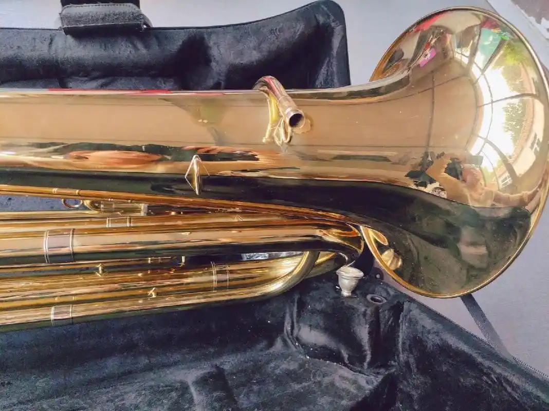 二手大号乐器,喜欢的看过来 2022年艺考所选专业需要乐器大号,专业课