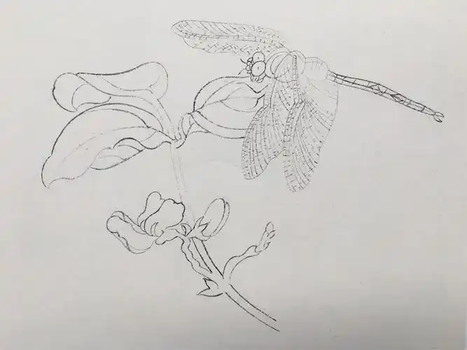 杨秀华工笔花鸟画教学课程【七】《蜻蜓图》局部临摹