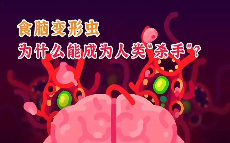 揭秘食脑变形虫"吞食"大脑全过程!