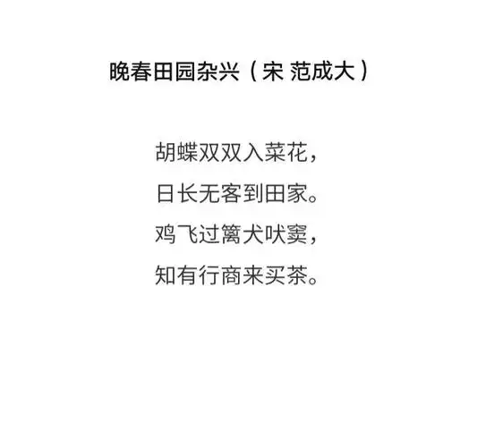 203 晚春田园杂兴 南宋 范成大