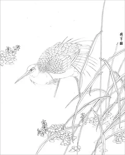 工笔花鸟白描,难得一见的好资料 (高清晰)_人民号