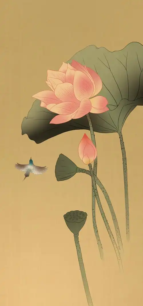 中国风传统绘画中国画工笔花鸟画莲花国粹艺术古风背景荷花插画