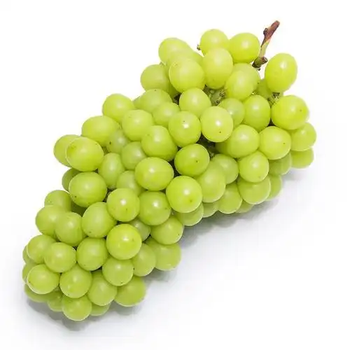 云南阳光玫瑰晴王葡萄精品香印青提子新鲜无籽青葡萄当季孕妇水果 4斤