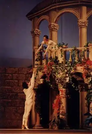 查尔斯王子 沃利根医生:查尔斯王子在塔迪斯,布罗德彻