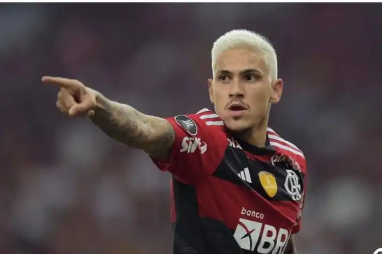 弗拉门戈主帅解雇巴西前锋佩德罗_费尔南德斯_比赛_主教练