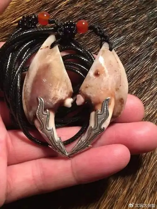 狼牙真的可以辟邪么为啥那么多人都喜欢戴