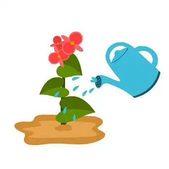 浇花的男人图片大全下载-包图网