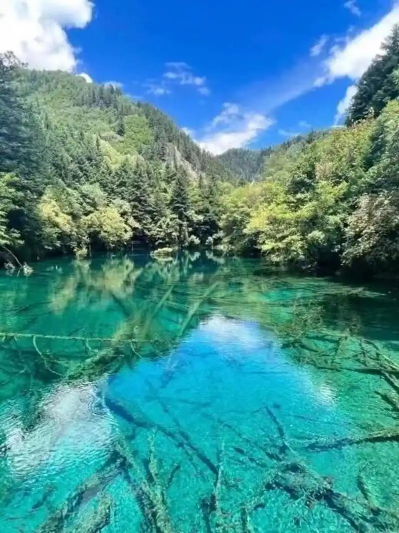 狠狠96住‖97九寨黄龙三日游96 94作为四川旅游胜地,九寨沟从