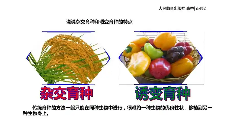 【教学课件】《基因工程及其应用》(人教)ppt