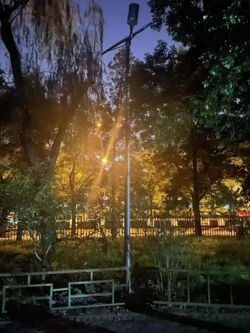 增加照明设备的香河园公园