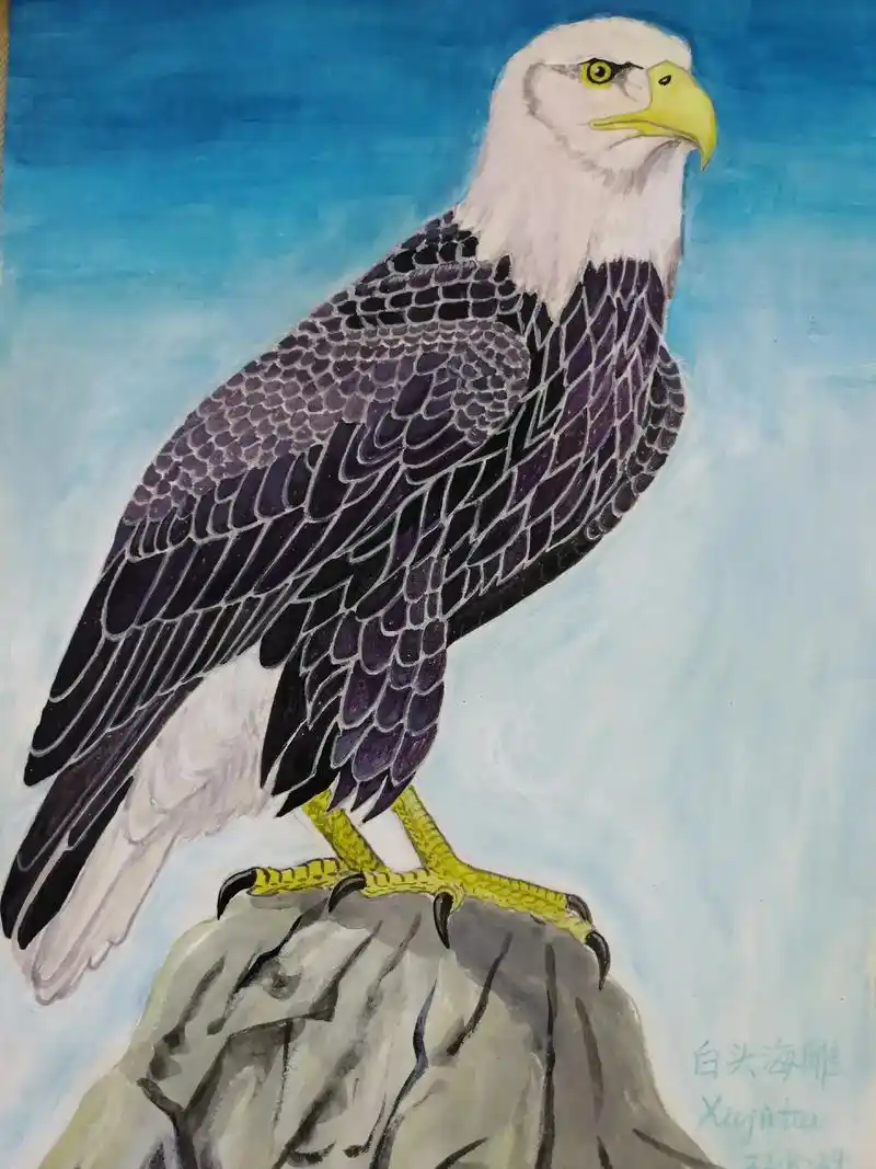 带你走进画里,让生活多一抹色彩(丙烯画白头海雕),网友晚上好 - 抖音